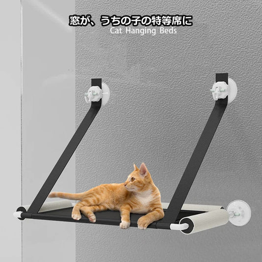 Cat window hammock demo